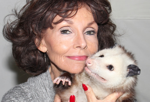 opossummypossum - Georgette of ME PEARL fame!
