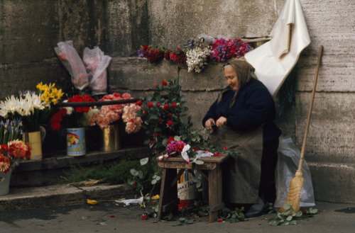 unrar:A flower vendor readies her day’s offerings, Rome, Italy,...