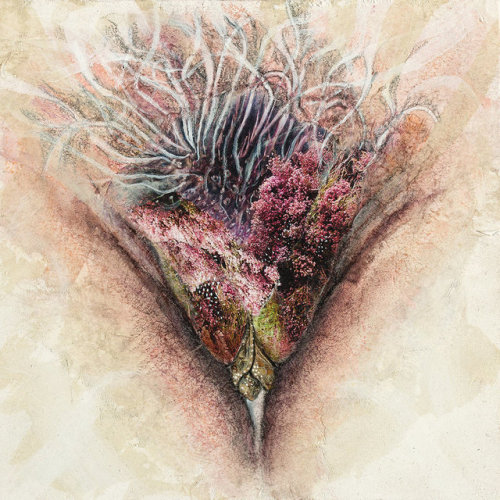 veritablyverde - “Painting vulvae, focusing on details of...