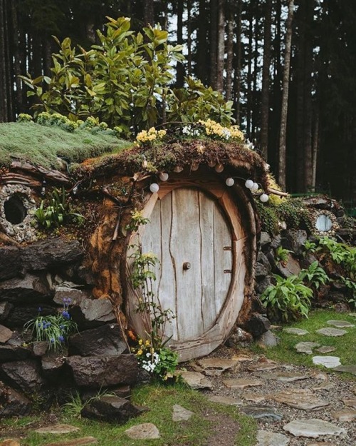 cabinsdaily - Hobbit hole is live in forever. 