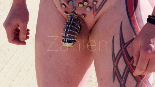 steelwerks:zahlen:Bolt on chastity cage in the great...