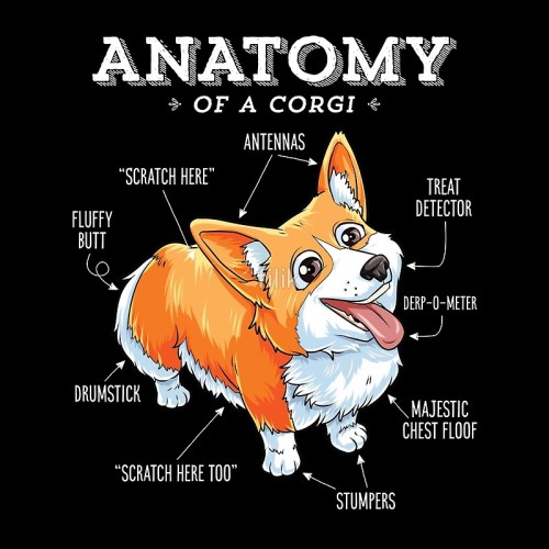 whirelez:Anatomy of a Corgi T-Shirt Funny Dog...