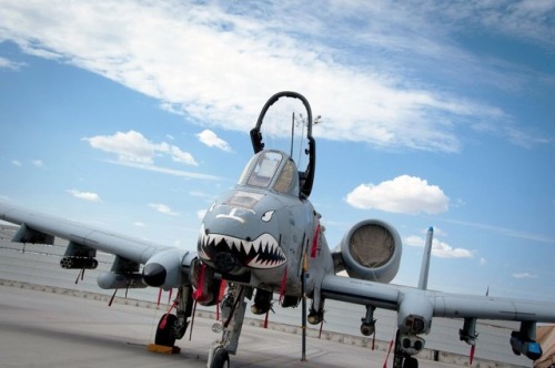 julietteandthejet - BRRRT!“A squadron of A-10C “Warthog”...