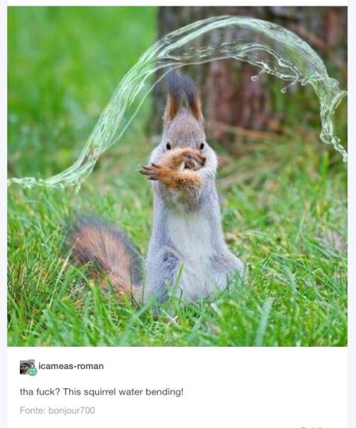 the-spirit-of-the-avatar - But I believe that Squirrel can save...