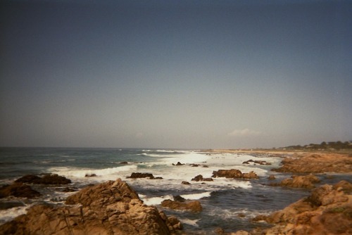 belgiandad:By the ocean in Monterey