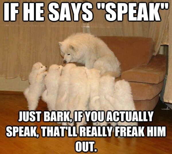 If he says speak, just bark. If you actually speak, that'll really freak him out. Image of a dog and a group of puppies