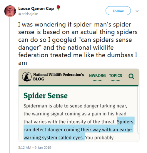 caucasianscriptures - Spider sense