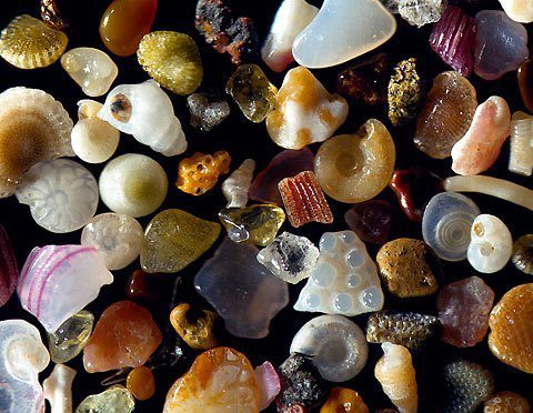 sixpenceee - Sand under a 250x magnification. Source - IFL...