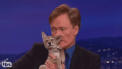 thenatsdorf:Conan falls in love with a coyote pup. [full...