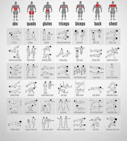 sashacoki:Body-weight exercise chart.