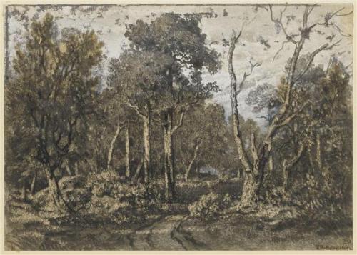 The oak tree crashed into the forest of Fontainebleau, Theodore...