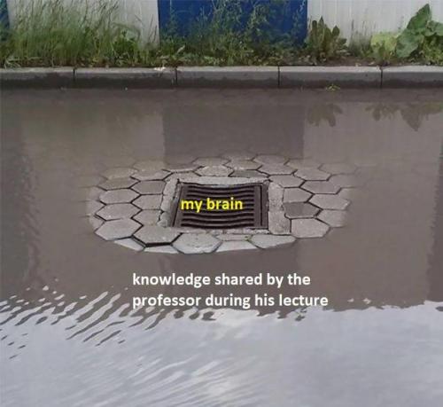 ahumbleslug - I like the implication that my brain is a sewer. I...