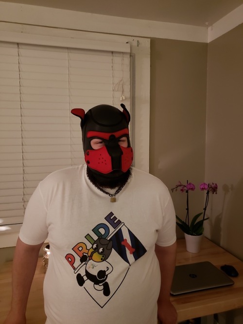 bearbrarian - bearbrarian - New post-Pride shirts arrived. One...