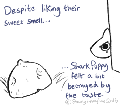 star-anise - fireandshellamari - Poor Shark Puppy.@lemonsharks