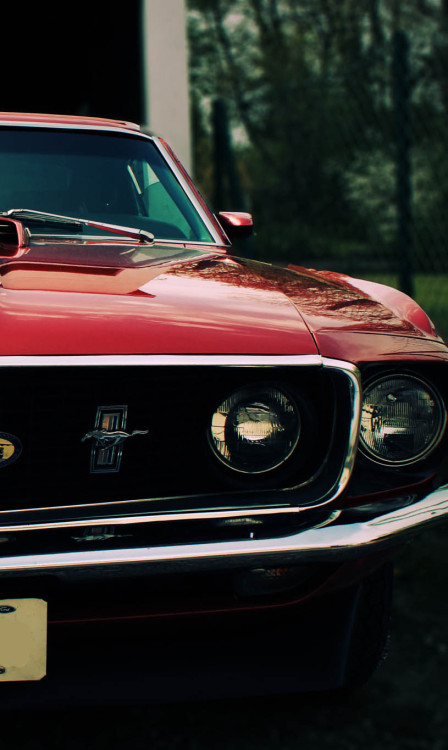 h-o-t-cars - Ford Mustang | Source