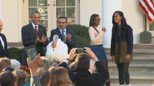 President Obama trotted out his best jokes at the 2015 White...