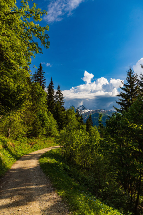 nature-hiking:Trails of the TMB 2/? - Tour du Mont Blanc, June...