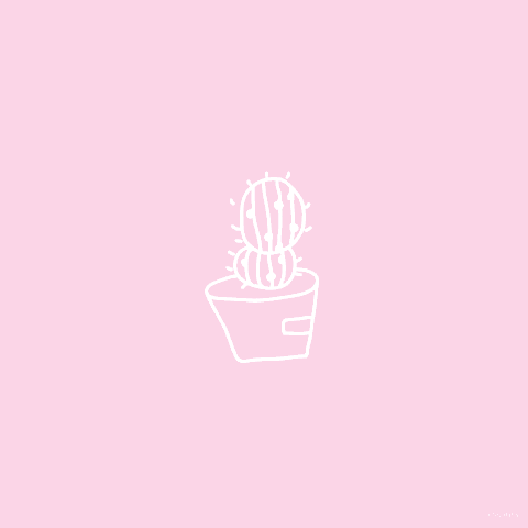 rosiitea:Cacti and other plants