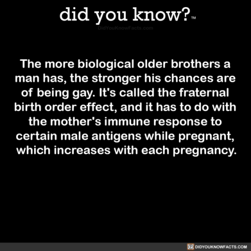 the-more-biological-older-brothers-a-man-has-the