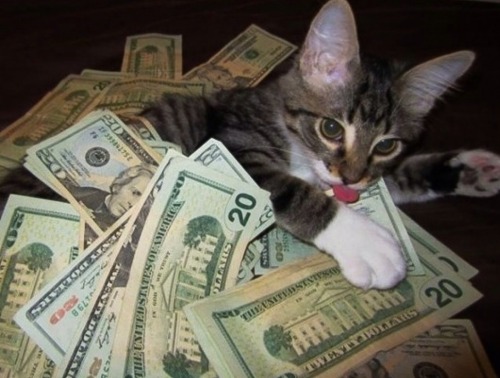 hitpass - prescriptionquality - alxbngala - Money Cats...