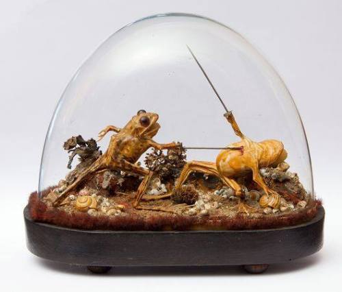 we-did-an-internet - arcaneimages - This taxidermy was found...