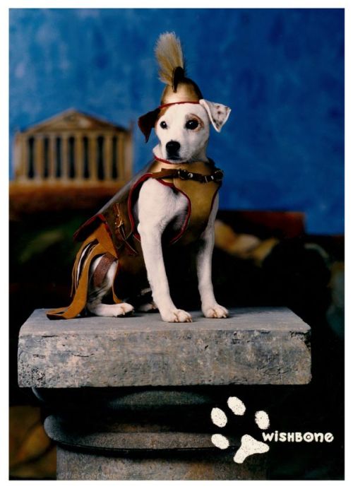 vintagegeekculture - Wishbone was a PBS series about a terrier...