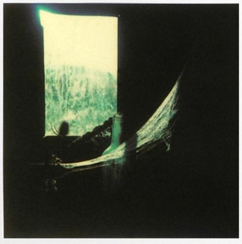 nobrashfestivity - Polaroids by Andrei Tarkovsky