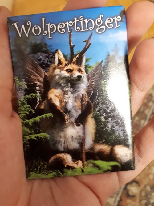 shiftythrifting - Found this magnet in Germany. No idea what it’s...