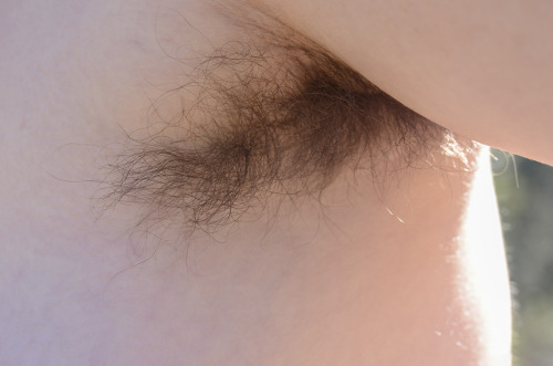 lovemywomenhairy - Not only a great bush, awesome pits and a...