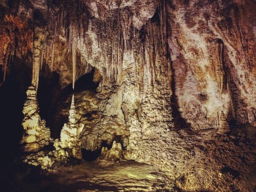 #tedthecaver #newmexico #carlsbad #caverns #nationalpark #nature...