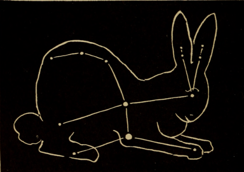 nemfrog - Lepus, the rabbit constellation. The star people....
