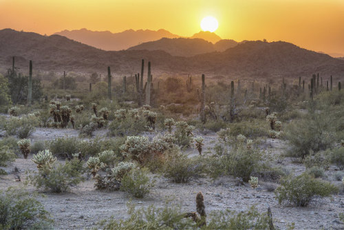 #BLMAdventures of ArizonaThe BLM in Arizona administers 12.2...