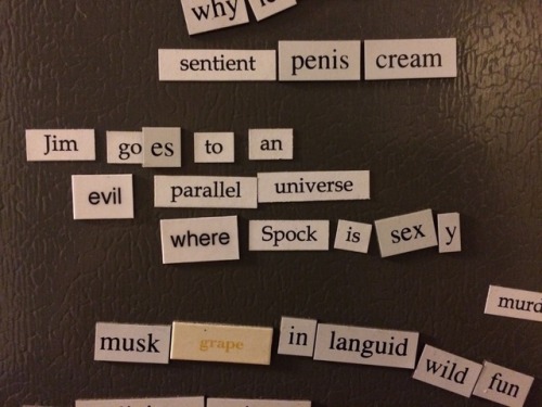 glumshoe - goddamnshinyrock - our house has four fridge poetry...
