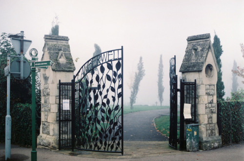 indiejanes:Camberwell Old Cemetery by Joe Pepper