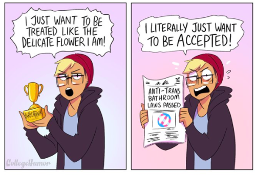 greysdawn - collegehumor - What People Think Millennials Are Like...