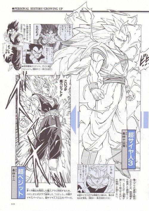 mysticmew - Son Goku- Growing up section from Daizenshu.The...
