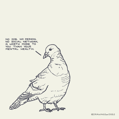 drawingsofdogs - Profound Pigeons (I only work alliteratively). A...