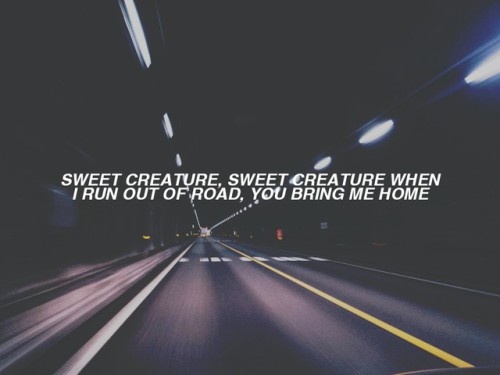 lyricallyobsessed:Sweet Creature // Harry Styles