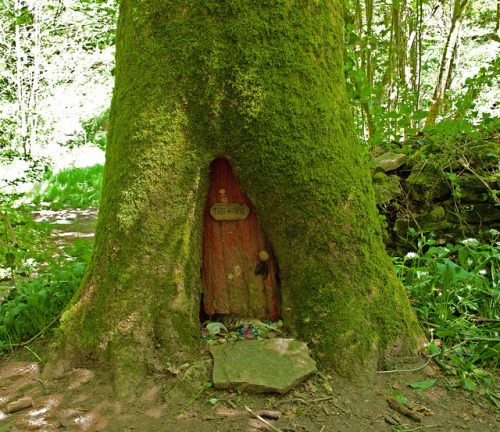 mythicrealms:Faerie Tree House by Tina on Flick. Please retain...