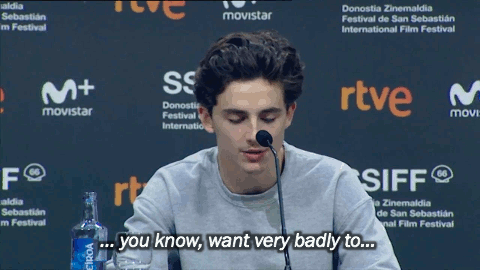 angel-in-new-york-city - Timothée Chalamet at press conference...