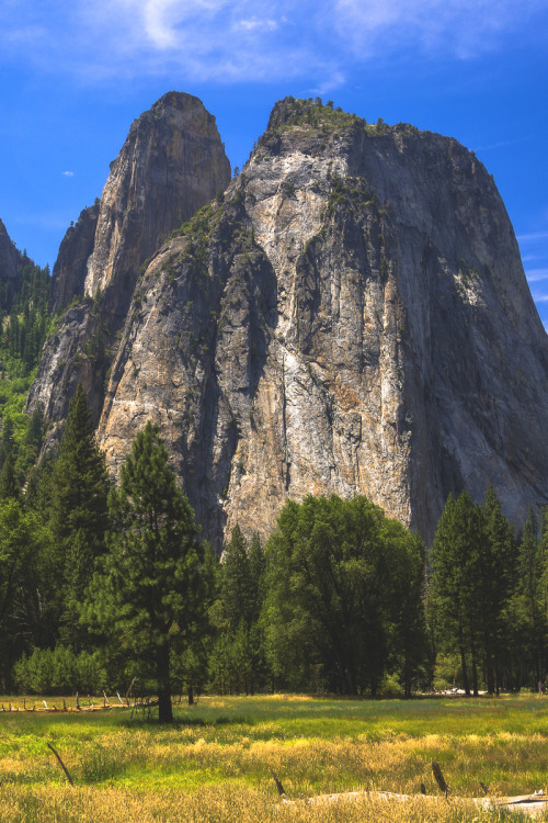 lsleofskye:Yosemite Cathedral Summer