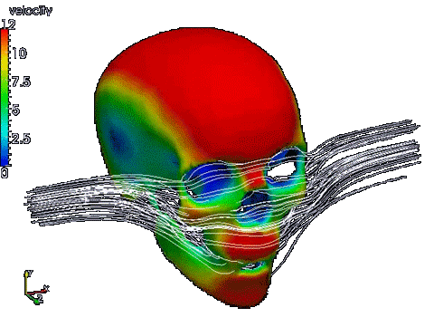 fruitsoftheweb - CFD optimization of skull surface geometry