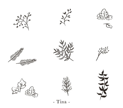 tinaillustration - sketch - plants