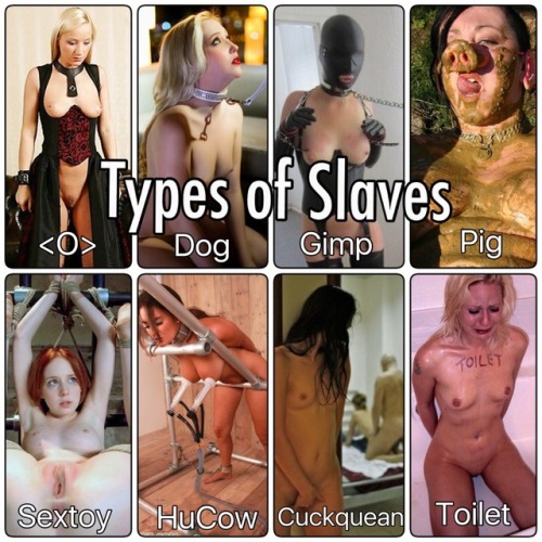 dumbandpretty:a-degrader:totalslavery:Or you could train it...