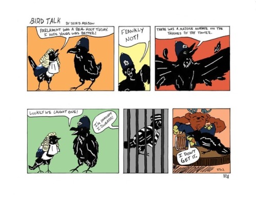Bird Talk. Bird joke. #birds #comic #comicstrip #sundayfunnies