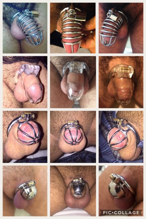 justchasteguy - show-us-your-locked-cock - My cockcage...