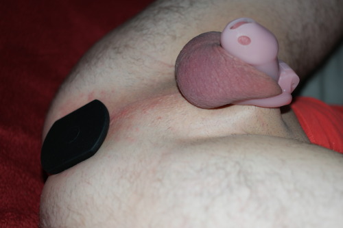 chastityboy1996:Plugged and locked,What did you expect?