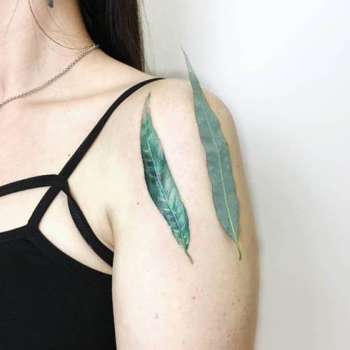 Tattoo tagged with: tree, small, leaf, tiny, reconstructive tattooing,  ifttt, little, nature, realistic, shoulder, willow leaf, medium size, pussy  willow, ritkit, weeping willow 
