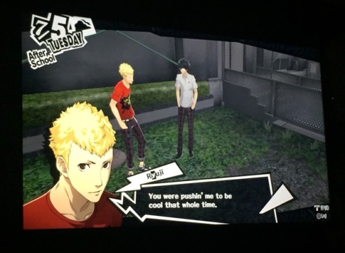 surprisebitch - Persona 5 should’ve made it possible to date...