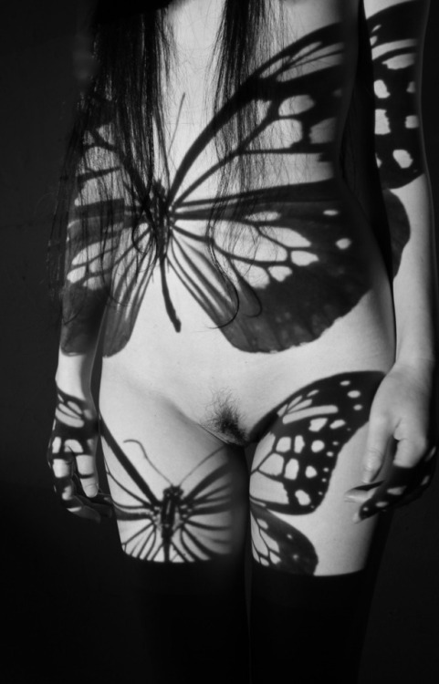 elpasha-71 - ryosuke handa ~ butterfly